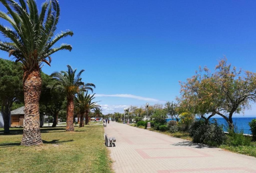 Joli Studio Cabine 4 Personnes A 300 M De La Plage Argelès-sur-Mer Exterior foto